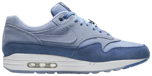 Nike Air Max 1 Have a Nike Day